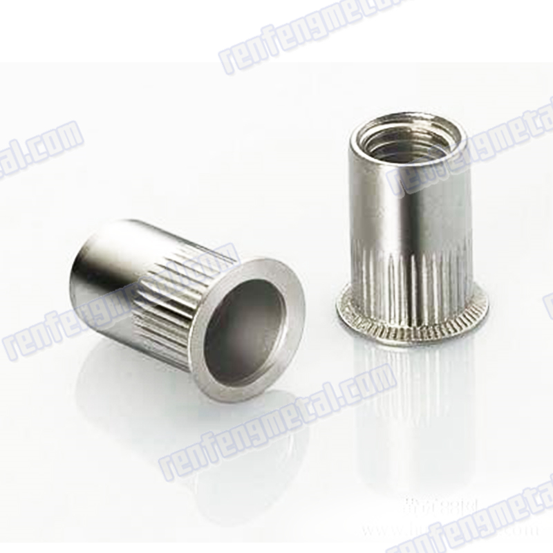 Galvanized stainless steel round rivet nut