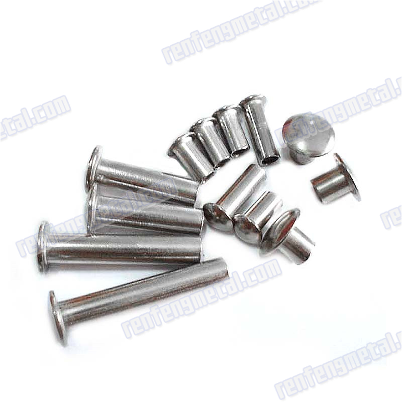 High quality galvanized stainless steel rivet