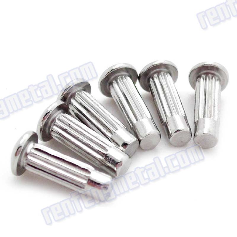 Galvanized Stainless Steel Flat Head Rivet