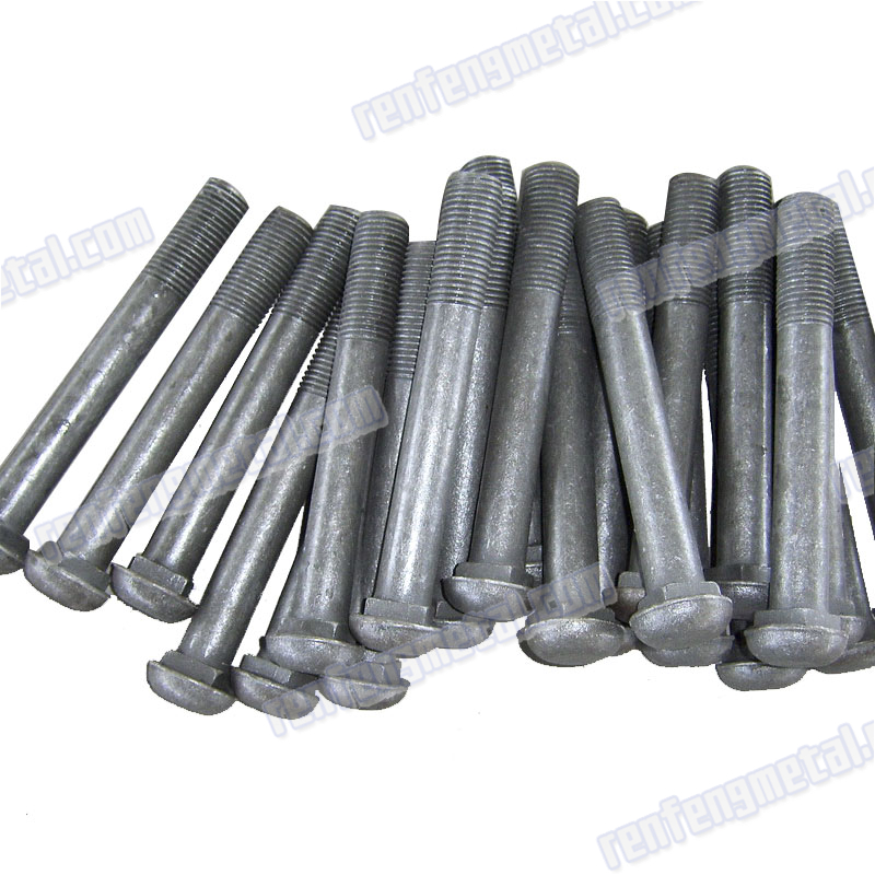 Iron galvanized round head Anti-corrosion bolt