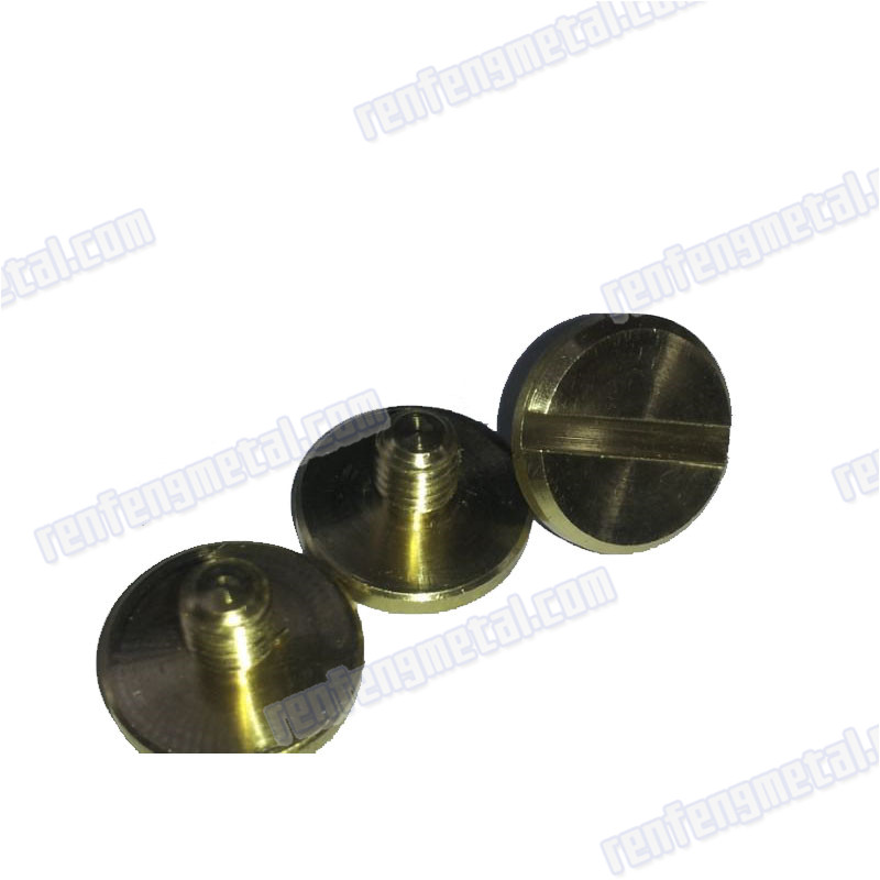 China customized  brass galvanized bolts