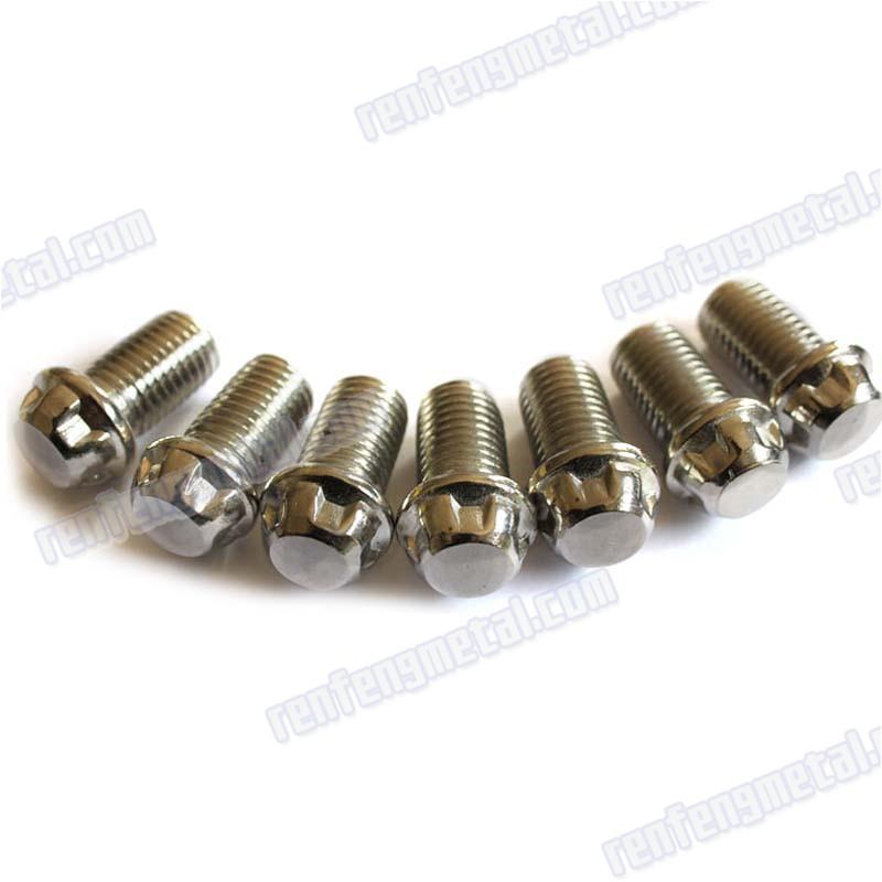 Custom zinc plated Anti theft bolt silver