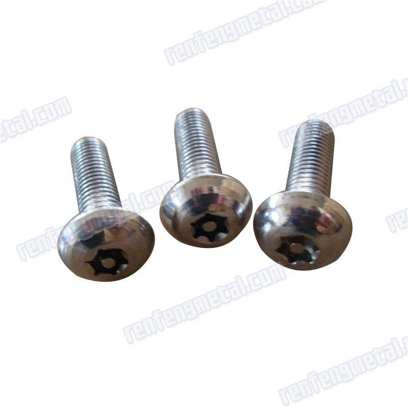 Stainless Steel Plum screw dacroment