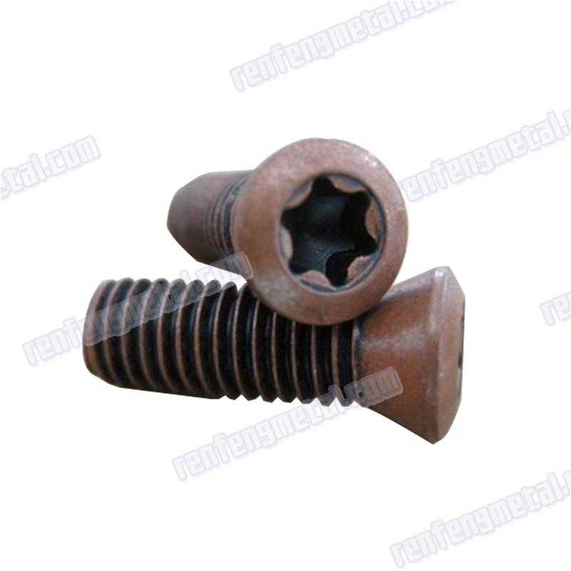 Nantong Black Qxide alloys steel Plum screw