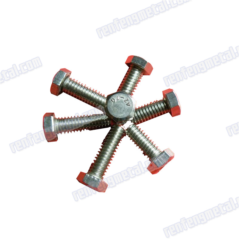 customized Stainless Steel Hex screws Passivated