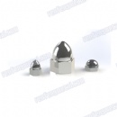 High quality Alloy steel nicekel white cap nut