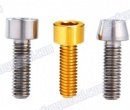 Nickel plated titanium tapered head screws