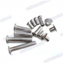High quality galvanized stainless steel rivet