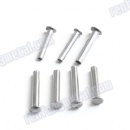 round head Stainless Steel Solid Rivet