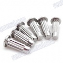 Galvanized Stainless Steel Flat Head Rivet