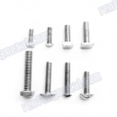 Dacroment Rectangular head stainless steel screw