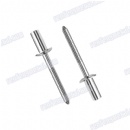 hot sale alloys steel blind rivet silver