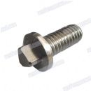 brass Anti theft bolt nickel plated