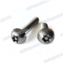 China supplier alloys steel Anti theft bolt silver