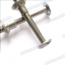 Hot Sale brass Anti theft bolt yellow zinc