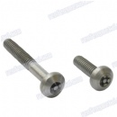 High quatity alloys steel Anti theft bolt