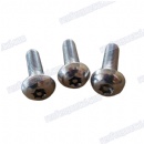 Stainless Steel Plum screw dacroment