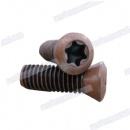 Carbon steel Plum screw phosphating