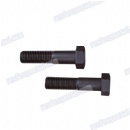 customized alloys steel Hex screws blackened