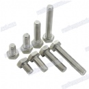 High quality alloys steel Hex screws galvanized